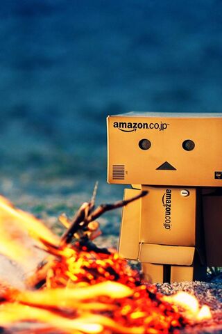 Danbo's Cozy Campfire Adventure 🔥📦