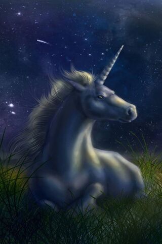 Mystical Night: The Enc..