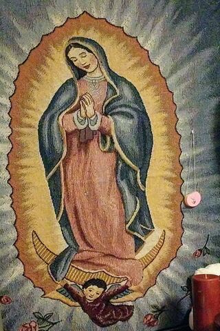 The Serene Presence of Guadalupe 🌹✨