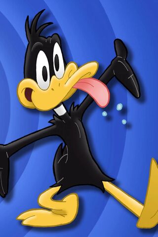 Daffy Duck cartoon looney tunes HD phone wallpaper  Peakpx