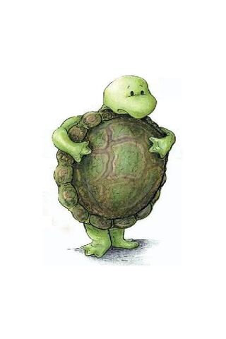 The Shy Shell: Awkward Turtle's Tale 🐢💚