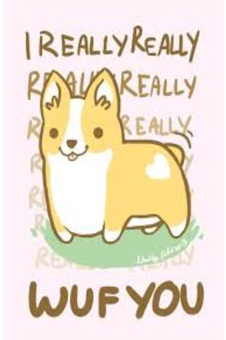 Corgi Cuddles: A Love That Wags