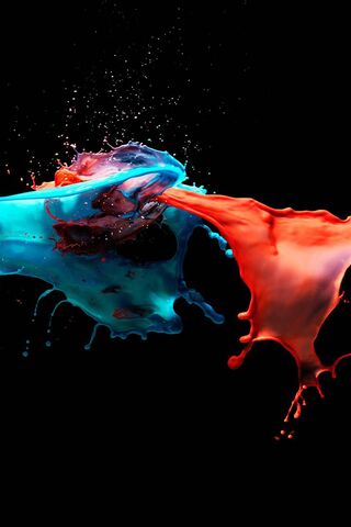 Splash of Vibrance: A D..