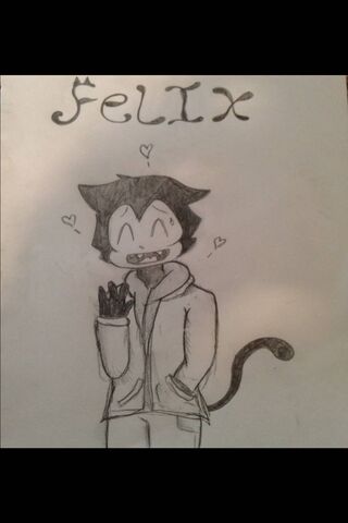 Felix the Friendly Feline 🐾✨
