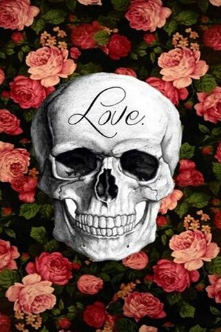 Skull