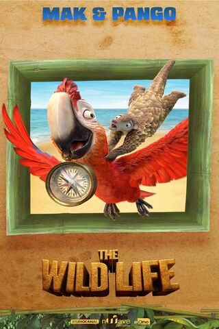 Adventure Awaits with Mak & Pango! 🦜🌴