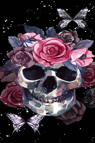 Skulls N Roses