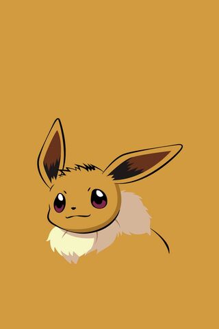 Eevee pokemon HD phone wallpaper  Peakpx