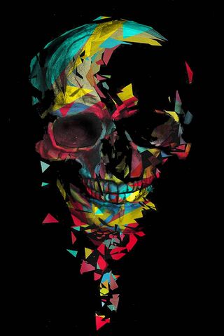 Vibrant Fragments of th..