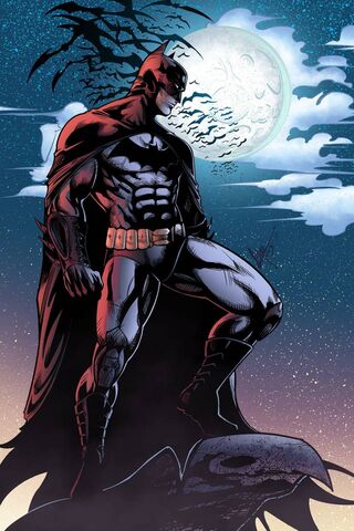 The Dark Knight Rises: A Hero's Vigil