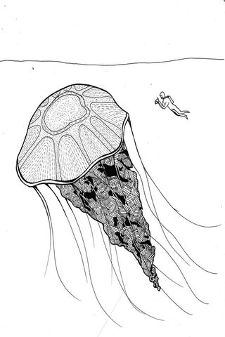 Jelly