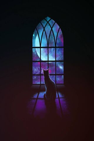 Spacecat