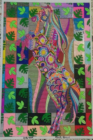 Adult Coloring Books