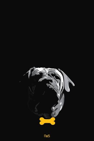 Chase The Boerboel