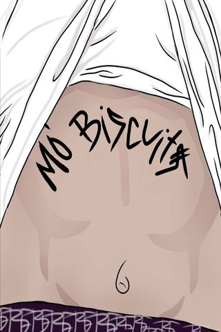 Mo Biscuits