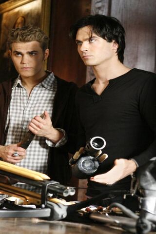 Damon and Stefan