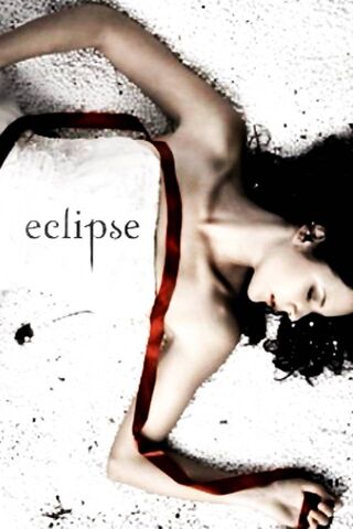 Eclipse: A Moment of Stillness 🌒✨