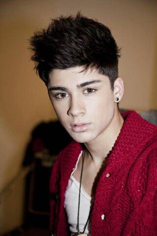 Zayn Malik: The Charism..