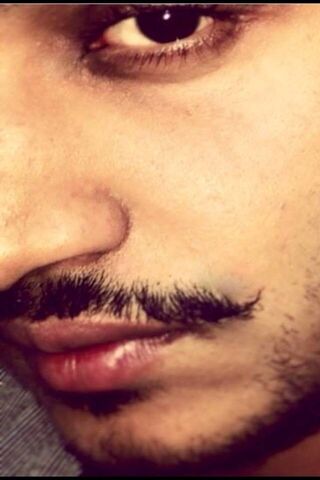 The Art of the Moustache: A Close-Up Look