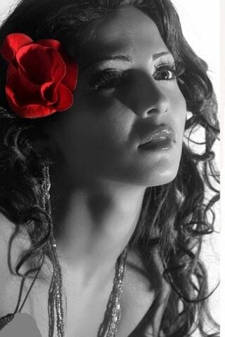 Whispers of Love 🌹