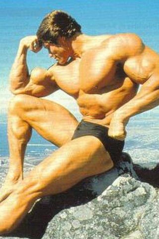 Arnold: The Icon of Str..