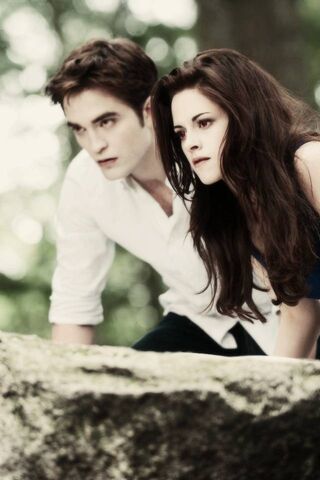 Eternal Love: Bella and Edward's Moment