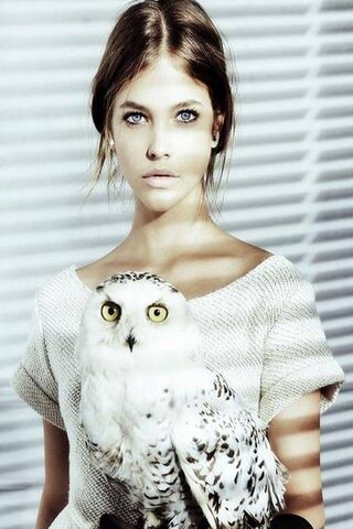 Whispers of Nature: A Serene Encounter 🦉✨