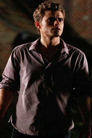 Stefan Salvatore