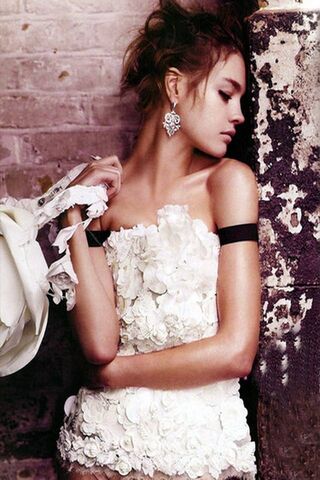 Elegance in Bloom 🌸