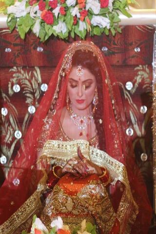 Awsome Bride