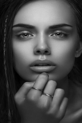 Timeless Elegance
