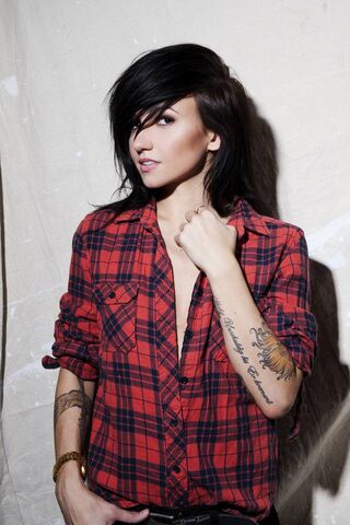 Ink and Attitude: A Bol..