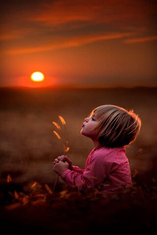 Whispers of the Evening Glow 🌅✨