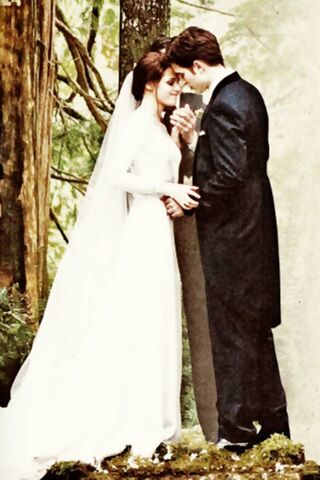 Eternal Love: Bella and Edward's Wedding Moment 💍✨