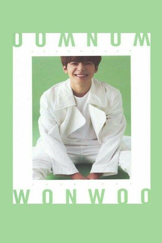 Wonwoo's Radiant Smile 🌟