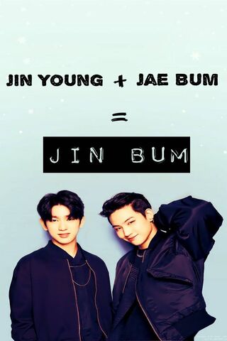 The Dynamic Duo: Jin Bum Unleashed! 🌟