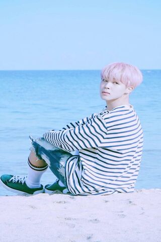 Jimin Spring Day