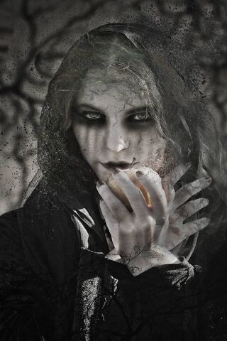 Whispers of the Night 🍏🌑