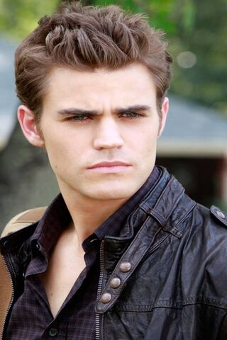 The Mysterious Charm of Stefan Salvatore