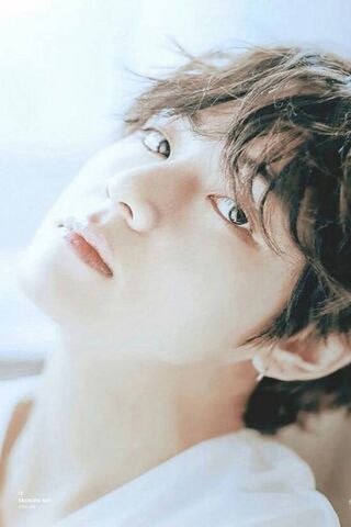 Charming Gaze: The Allure of V