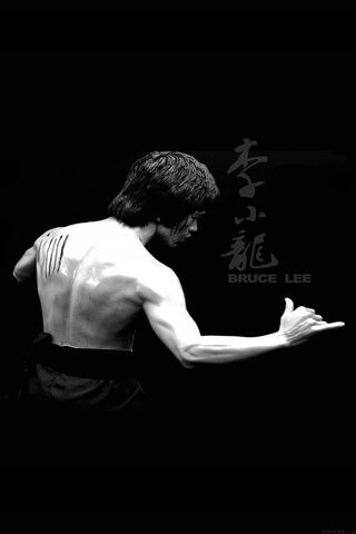 The Spirit of the Drago..