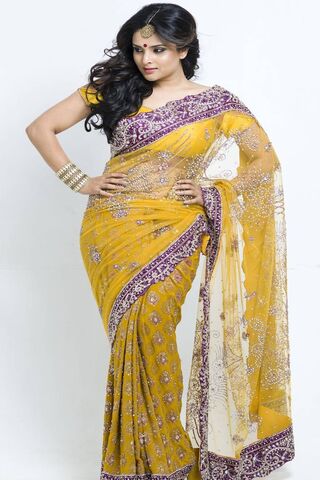 Radiant Elegance: The Charm of Ramya