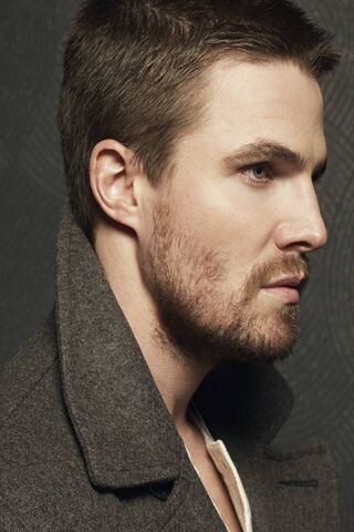 The Charismatic Stephen: A Portrait of Strength