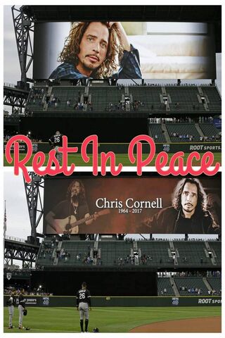 Remembering Chris Cornell: A Tribute to a Rock Legend 🎸✨