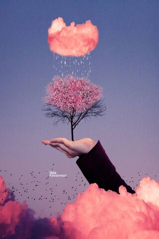 Whispers of Spring 🌸☁️