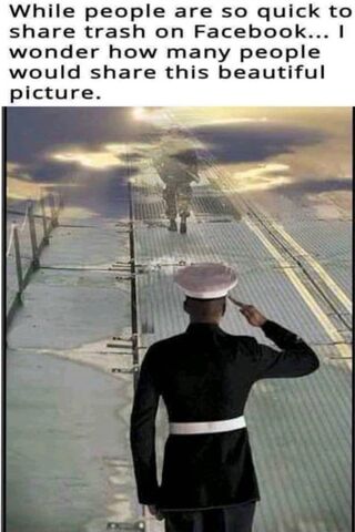 Lone Soldier