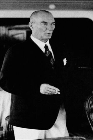 The Visionary Leader: A..