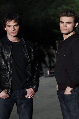 Brothers in Shadows: Th..