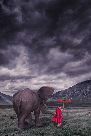 Journey of the Young Monk and His Gentle Giant 🐘☂️