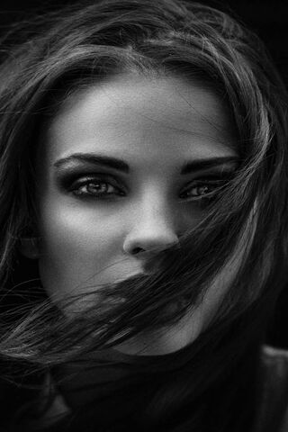 Whispers of the Wind